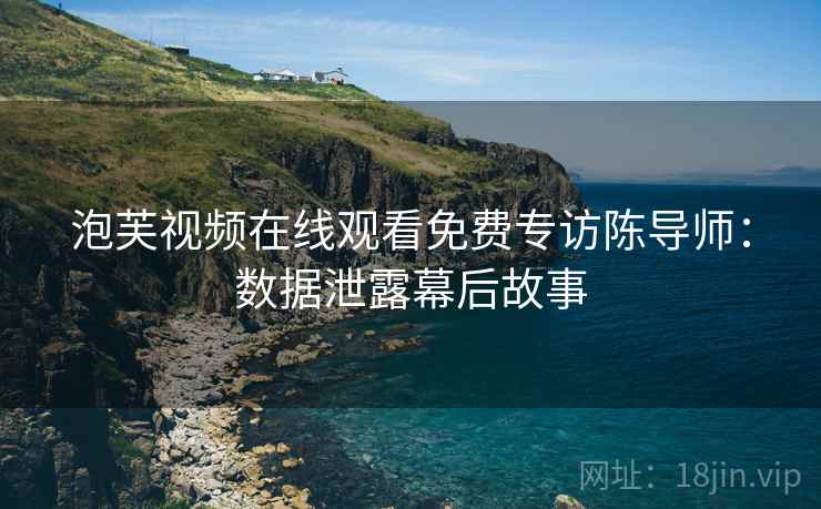 泡芙视频在线观看免费专访陈导师：数据泄露幕后故事