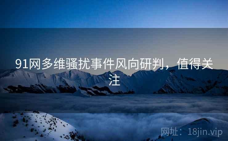 91网多维骚扰事件风向研判，值得关注