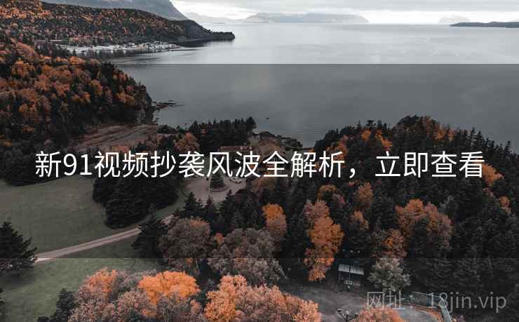 新91视频抄袭风波全解析，立即查看