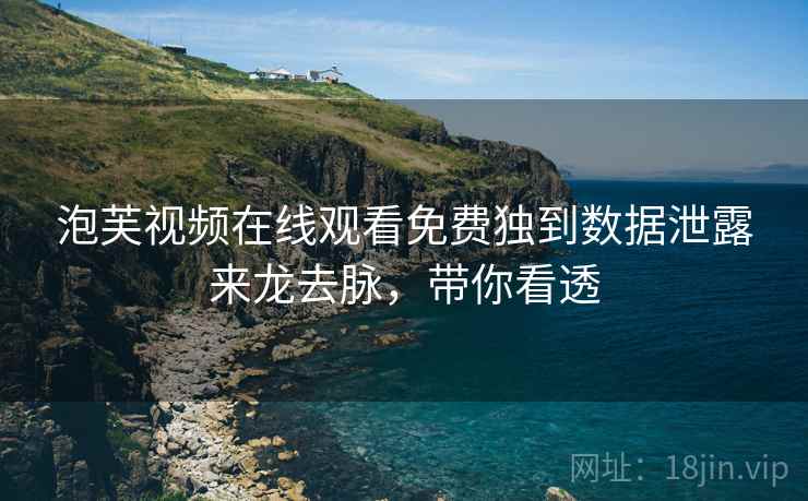 泡芙视频在线观看免费独到数据泄露来龙去脉，带你看透