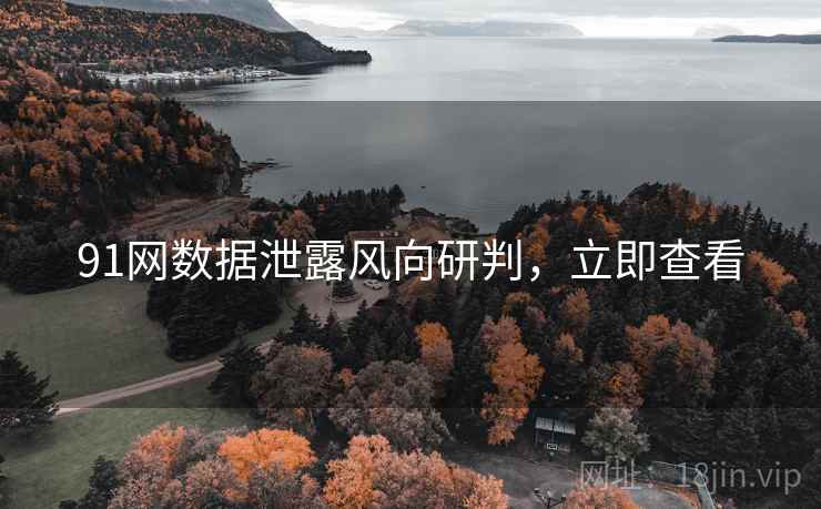 91网数据泄露风向研判，立即查看