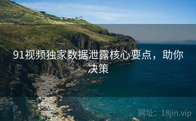 91视频独家数据泄露核心要点，助你决策