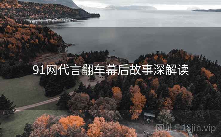 91网代言翻车幕后故事深解读