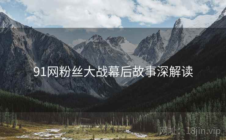 91网粉丝大战幕后故事深解读