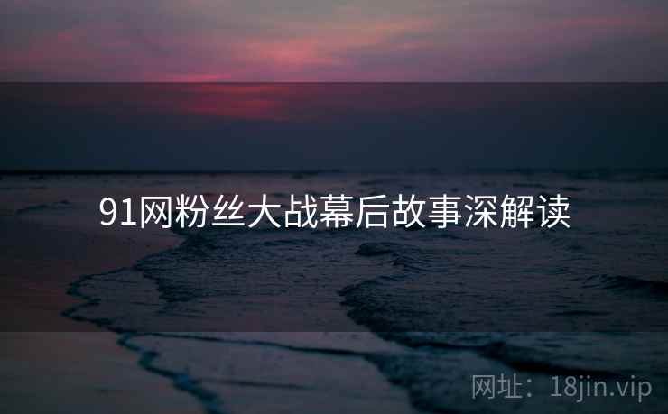 91网粉丝大战幕后故事深解读