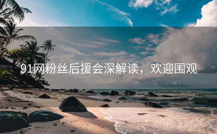 91网粉丝后援会深解读，欢迎围观